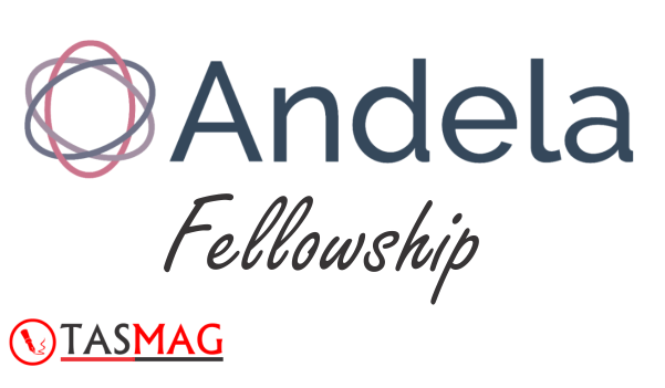 Andela Fellowship