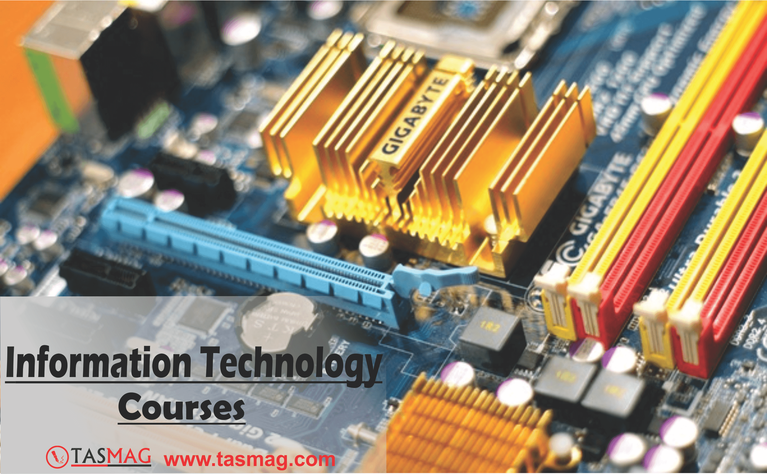 Information Technology Courses